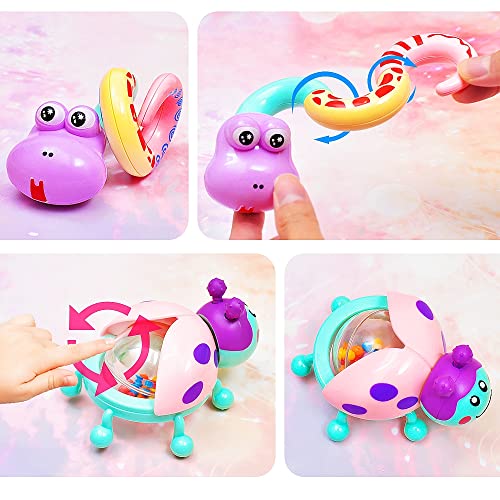 ChuburD 6Piece Baby Toys Rattle Teether,Infants Grab and Shake Rattles