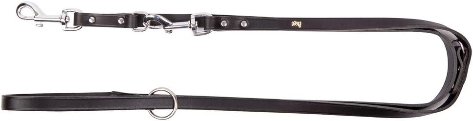 Dingo Long Leash for Dog Black Genuine Leather Adjustable Lead for Daily Use 10257, 10 mm x 200 cm