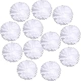 Landisun Wedding Birthday Party Room Decoration Tissue Paper Flower Poms(10