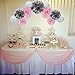 Paper Flower Tissue Pom Poms Baby Shower Party Supplies (silver,pink,white,18pc)