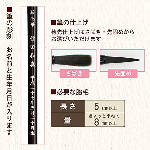 最安値に挑戦 胎毛筆 桜房 B075rxp4d6 紫 日本製 広島県 赤ちゃん筆 人気特価激安 Www Aiq Aiq Com Mx