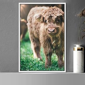 signwin Framed Canvas Wall Art Calf Animals Expressive...