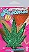 iHeartRaves Glitter Green Pot Leaf Weed Rave Pasties (Set of 2 Pasties)