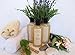 Face 'n' Earth, LLC Papaya, Pineapple Enzyme & Niacinamide B3 Cleanser 93% Organic - Vegan pH Balanced