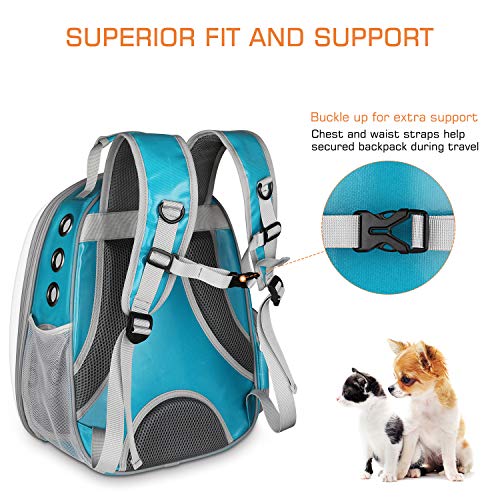 Blitzwolf Pet Transparent Carrier Backpack, Anzone Sightseeing Pet Traveller Outdoor Knapsack Waterproof Lightweight Handbag for Small Animals-Green