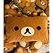 Lesley Ye Rilakkuma Relax Bear Brown Pillow Cover Cushion Case, Decorative Cushion Covers, Soft Plush Shaggy Throw Pillow Case Hidden Zip Closure for Bed Sofa Couch - Filling Not Included