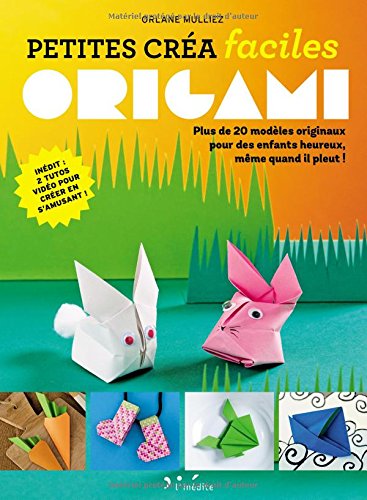 couverture de : Origami
