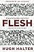 Flesh: Bringing the Incarnation Down to Earth by Hugh Halter