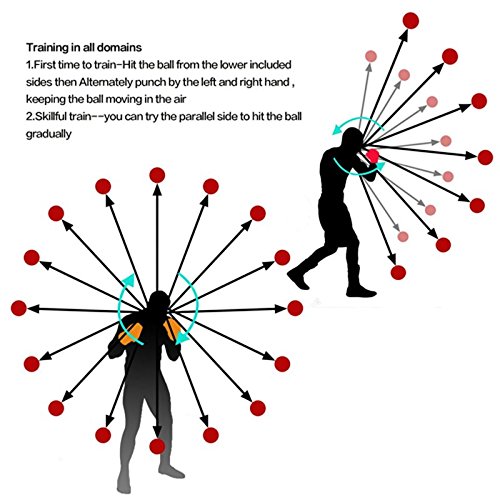 Algopix Similar Product 5 - Boxing Reflex Ball 2 Difficulty Level