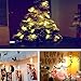 Zedoli Waterproof 20 LED Photo Clips String Lights, Battery Powered,String Lights for Indoor/Outdoor Decorate,String Lights with Photo Clips for Hanging Pictures,Cards and Artwork(10 Ft,Warm White)