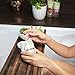 Coconut Milk Exfoliating Body Scrub - Natural Coconut Oil Skin Exfoliator for Face Hand Lip & Body with Sea Salt & Shea Butter, Acne & Eczema Treatment, Stretch Mark Scar & Cellulite Remover