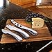 Cheese Knife Set W/Wooden Block By Montaig (4 Piece Luxury Set) - for Hard, Medium and Soft - all Cheese Types Made Of 420 Grade Stainless Steel Elegant Design & Dishwasher Safe