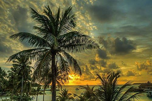 Nature Poster Canvas Art Print (35x24inch) - Maldives palms trees shadow sea ocean beach hdr