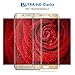 S6 Edge Plus Screen Protector,iAlegant Premium Tempered Glass Full Coverage Protection High Definition 3D Curved Film for Samsung Galaxy S6 Edge plus (Gold)