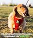 EcoBark Dog Harness - Eco-Friendly Max Comfort Harnesses - Luxurious Soft Mesh Halter - Over The Head Harness Vest- No Pull and No Choke for Extra Small, Toy Breed, and Teacup Dogs (XS, Red)