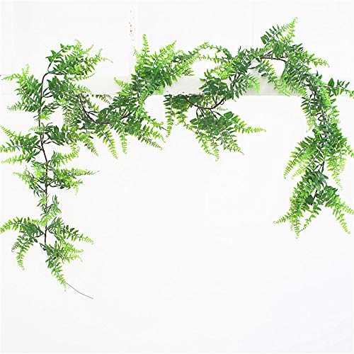 Fycooler Faux Boston Ferns Plant Artificial Vines Hanging Leaves Greenery Garland Artificial Plats 6.2 Feet in Length for Wedding Backdrop Arch Wall Decoration Garden Home Decor