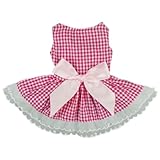 Fitwarm Casual Pink Plaid Ribbon Pet Clothes Dog Dress Lace Shirts Apparel, X-small