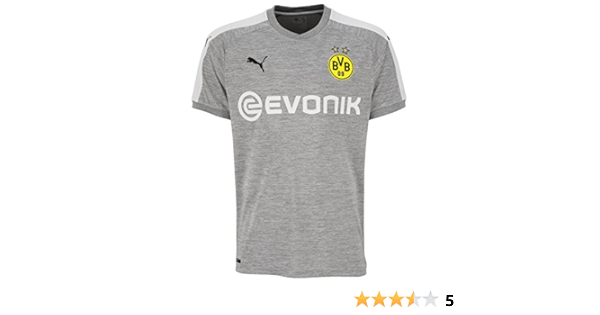 dortmund grey kit