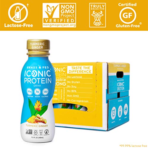 Iconic Protein Drinks, Turmeric Ginger (12 Pack) | Low Calorie, High Protein Shakes | Grass Fed, Lactose Free, Gluten Free, Non-GMO, Kosher | Low Carb Snack & Healthy Breakfast Drink | Keto Friendly - Thumbnail 3