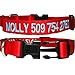 GoTags Personalized Dog Collar, Custom Embroidered with Pet Name and Phone Number in Blue, Black, Pink, Red and Orange, for Boy and Girl Dogs, 4 Adjustable Sizes, XSmall, Small, Medium, and Largethumb 3