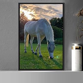 signwin Framed Canvas Wall Art Horse Animals Dramatic...