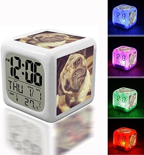 Digital Alarm Thermometer Night Glowing Cube 7 Colors Clock LED Customize the pattern 249.Pug, Dog, Animal, Breed, Thoroughbred