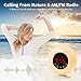 Wake-Up Light Sunrise Alarm Clock Radio with Sunrise Sunset Simulation, Dual Alarm, 4.2 Bluetooth Speaker, 3 Natural Sounds, AM/FM Radio, Snooze Function and Bedside Lamp