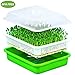 Seed Sprouter Wheatgrass Sprouting Tray BPA Free PP Sprouting Kit Big Capacity with Lid 13.4 x 9.84 x 4.2inch,Indoor Sprouter,Green