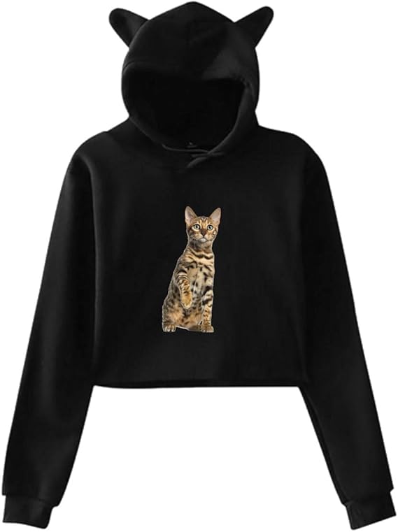 cat looking sweatshirt