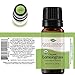 Plant Therapy Organic Lemongrass Essential Oil 100% Pure, USDA Certified Organic, Undiluted, Natural Aromatherapy, Therapeutic Grade 10 mL (1/3 oz)