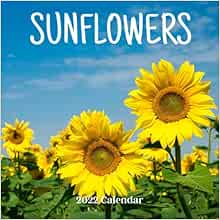 Sunflowers 2022 Calendar: 2022 2023 Calendar, 18 Months.: 2022-2023