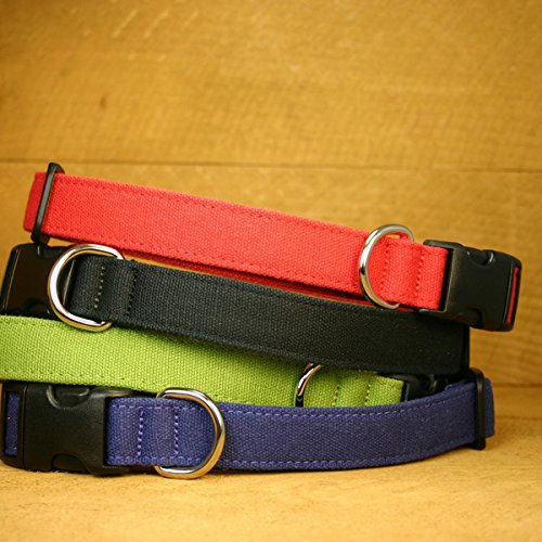 3/4" Red Small Hemp Basic Canvas Collar