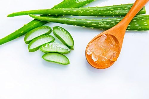 Natures Root Aloe Vera Powder 250 g - Premium Quality, 250 g (Pack of 1) - Image 5