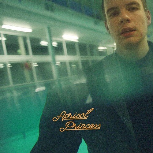 Album Art for Apricot Princess by Rex Orange County