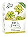 Gaia Herbs Gas and Bloating Tea Bags, 16 Count (Pack of 2)