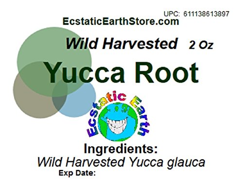 Wild Harvested Yucca Root ~ 2 Ounces ~ Yucca glauca