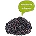 Dried ELDERBERRIES from Europe Premium Quality 900GR 2LB
