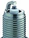 NGK 7634 Spark Plug, black