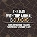 Endangered Species Chocolate Bars | Strong & Velvety Dark Chocolate Bar | 88% Cocoa with hints of fruit and spice | Only 3g of sugar per serving | Vegan & Gluten Free | 3 Ounce Bars (12 Pack)