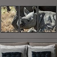 3 Piece Framed Canvas Wall Art Stomping The Wild Animals for Living Room Bedroom - 16