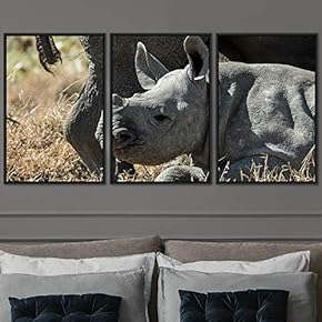 signwin 3 Piece Framed Canvas Wall Art Stomping...