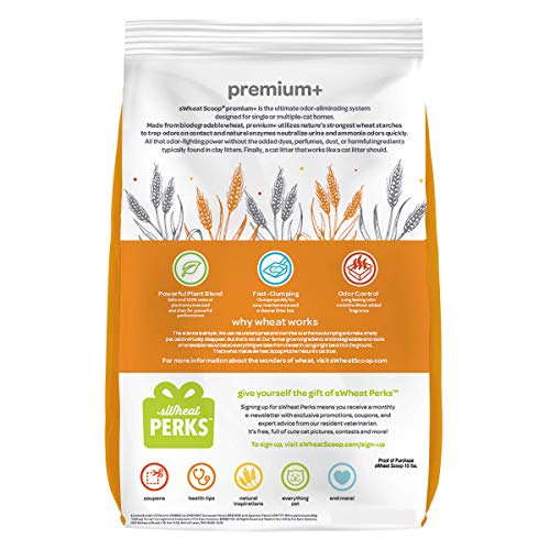 sWheat Scoop Premium+ Natural Clumping Wheat Cat Litter, 10lb (860713