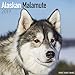Alaskan Malamute Calendar - Dog Breed Calendars - 2018 - 2019 Wall Calendars - 16 Month by Avonside by 