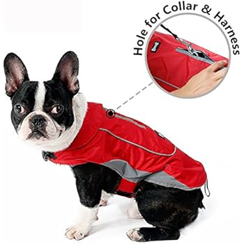 Morezi Premium Outdoor Sport Waterproof Dog Jacket Winter Warm Large Dog Coat with Harness Hole Red - XS