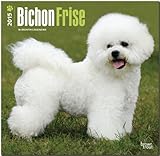 Bichon Frise 2015 Square 12x12 (Multilingual Edition)