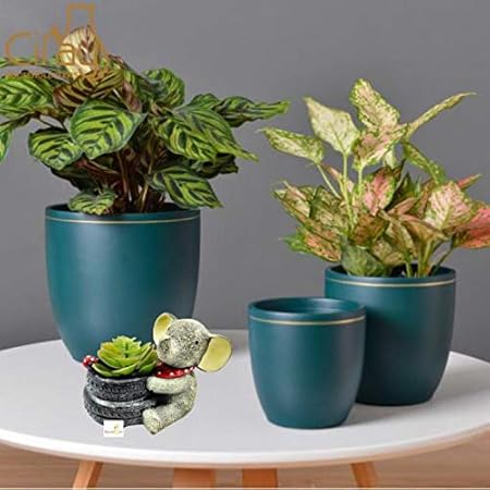 SpaceinCart Polyresin Pot, Multicolour, 4 x 5 x 6 in