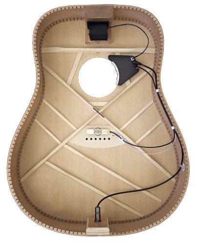 L.R. Baggs ANTHEM  Acoustic Guitar Pickup