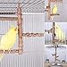 Borangs Bird Perch Natura Wood Stand Toy Branch for 3-4pcs Small Medium Parrots Cages Toy Mthumb 3