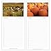 Vermont Sunflower Birthday Anniversary Perpetual Calendars - Unique Gifts, Valentine's Day Mother's Day Christmas, Xmas for Him, Her, Women, Men, Husband, Wife, Mom Dad - Updated 2014 Easter