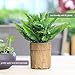 Artificial Plants Fern Fake Shrubs Bushe 11